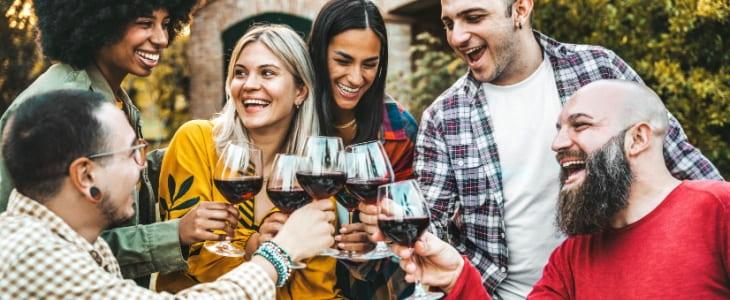 Happy group drinking wine at a vineyard